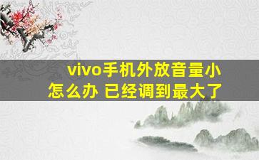 vivo手机外放音量小怎么办 已经调到最大了